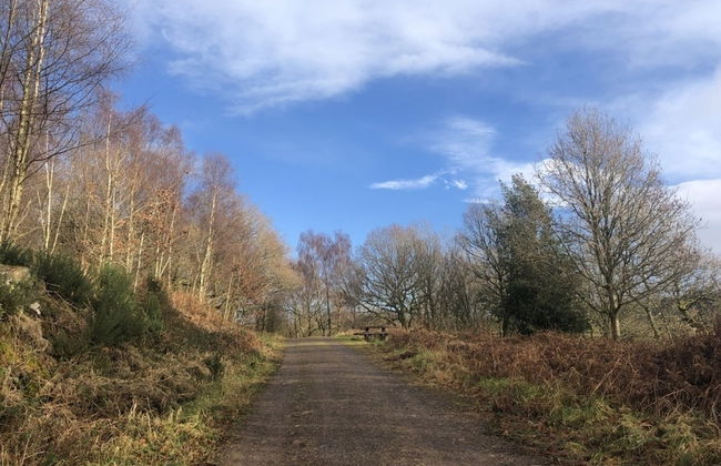 Clouded Yellow - Beautiful Modern Lodge, Kippford - Photo 30