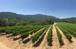 La Bastide - Foto 24