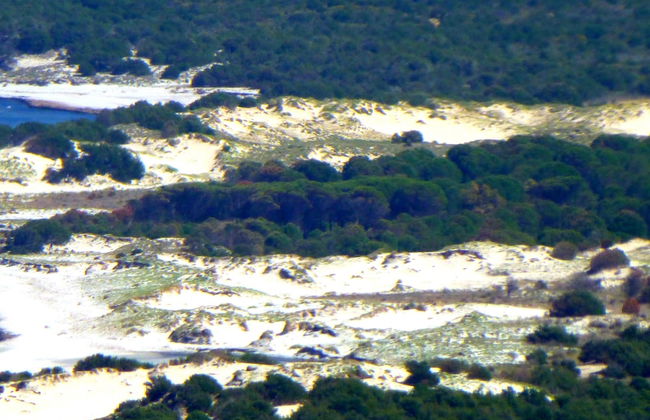 Comino Alto Agriturismo e Appartamenti - Photo 47