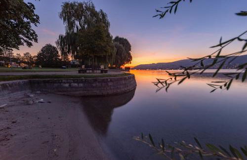 Haubentaucher - Foto 15