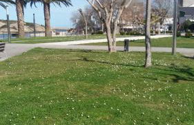 Península de la paz - Foto 23