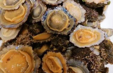 Appartamento vista mare Posidonia - Foto 55