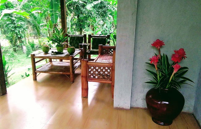 Banaba Tree House - Photo 20