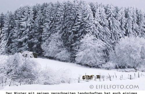 Ferienwohnung Gross A - Foto 38