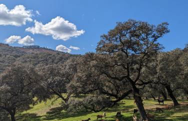 Finca Bravo - Foto 78