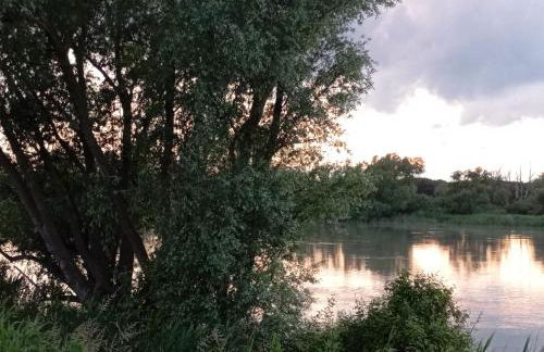 Casa Vacanze Nel Delta del Po - Foto 37