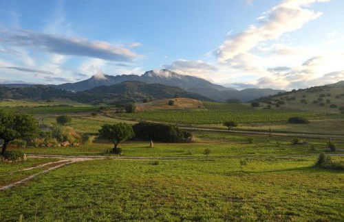 Auberge Santu Martine: Cottage with Pool (Manca) - Foto 13