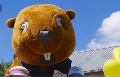 Les sybelles - Photo 30