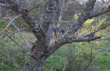 Stivakti Chalet - Foto 26