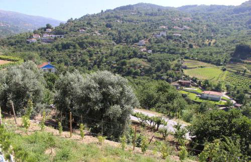 Casa do Passarinho - Foto 28