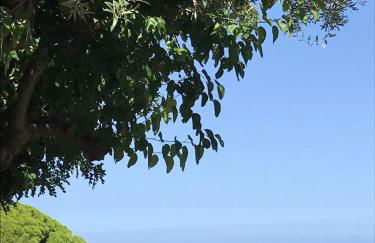 L'Ulivo in Villa Greco - Foto 43