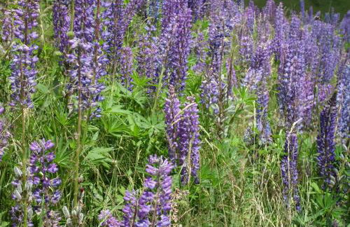 Schöne Aussicht - Foto 18