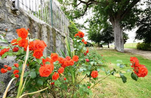 Castle near Agen with Shared Pool - Foto 30