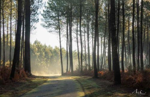 Les Bord'Océanes Sauna & Spa Villa Marensine et Villa Oyat - Foto 63