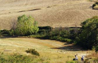 Antara Apartment - Foto 6