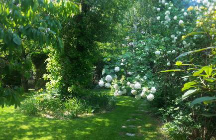 Słoneczne apartamenty - Photo 51