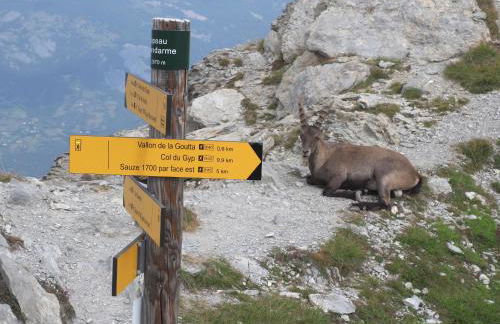 Godille Immobilier - Foto 84