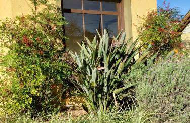 Apartamento Flor de Canela - Foto 37