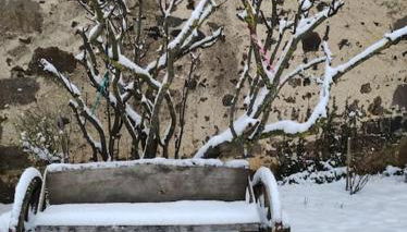 Chez Philopin - Photo 5