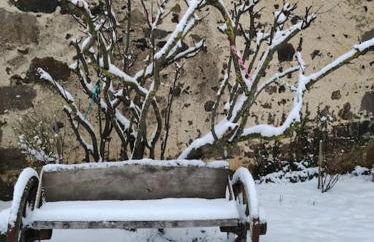 Chez Philopin - Foto 5