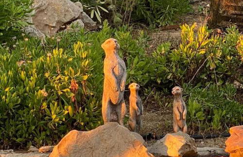 Casa Othello - Villa with private pool - Foto 65