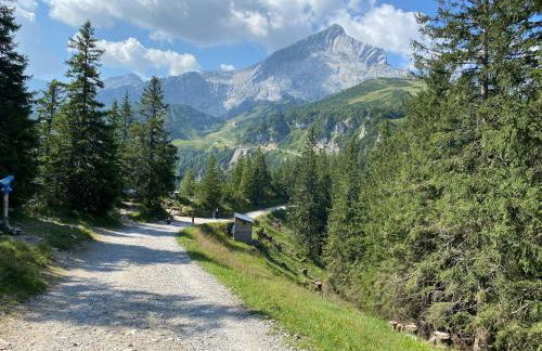 Trollenhof im Allgäu - Ferienwohnungen Säuling - Foto 41