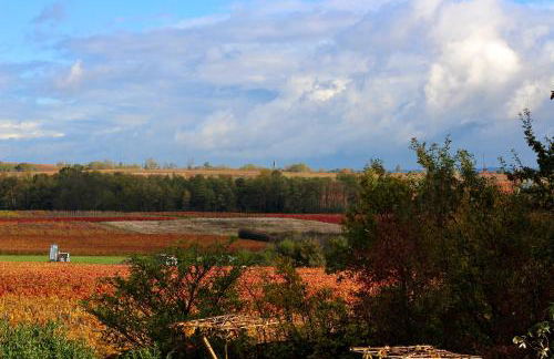 Domaine de la Serve - Foto 27