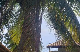 casa 4 quartos com piscina - Foto 15