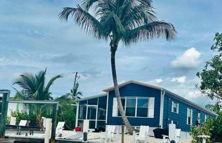 Navy Flamingo - Foto 31