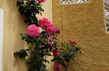 Villa Humboldt - Foto 40