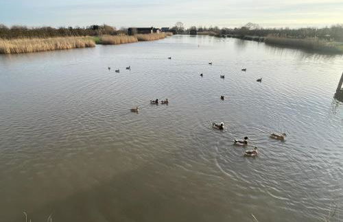 Lakeside Fishing Pods - Foto 7