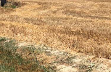 Il Filo di Arianna Cottage di Campagna - Photo 50