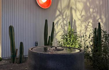 Aerhaus - Mid-Century Oasis - Foto 56