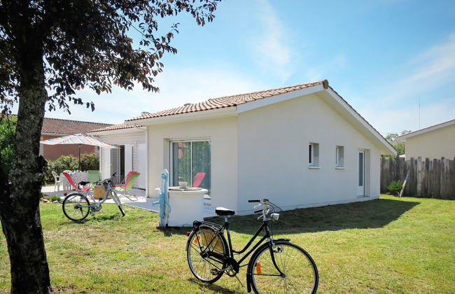 Mon Poussin - Photo 19