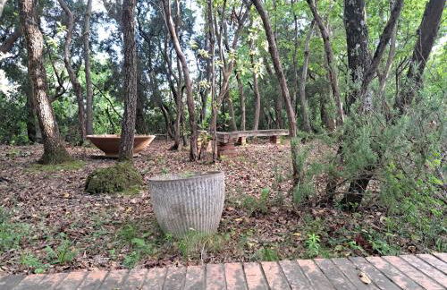 casa con bosco e vista mare - Foto 14