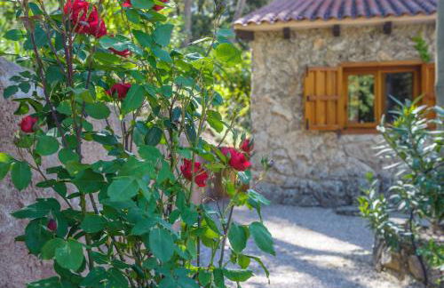 Casas rurales Batan Rio Tus - Foto 30