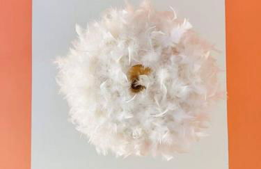 Le Bobohème - Wifi - Parking - Foto 7