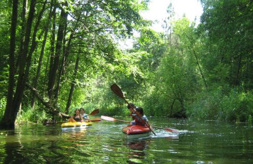 Mazurski Raj - Komfortowy dom nad jeziorem - Foto 48
