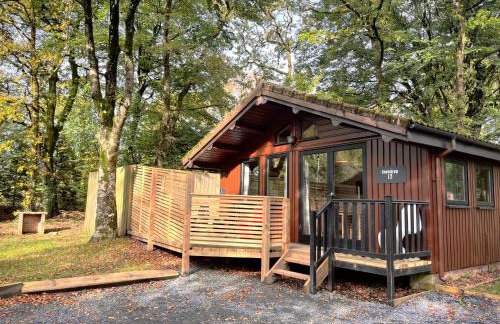 Snowdrop 13-Hot Tub-Woodlandlodges-Carmarthenshire - Foto 8