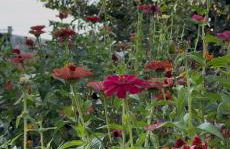 Casa Carabias Sigüenza - Foto 4