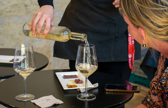 Degustación de vinos en el castillo de Santa Bárbara - Photo 3