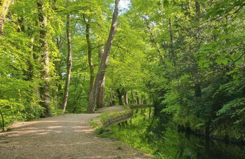 Southlake Barn - Foto 12