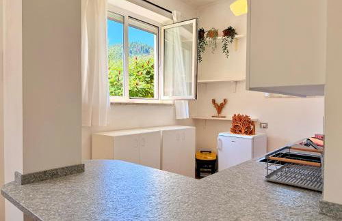 Alberi di Fiemme - Foto 11