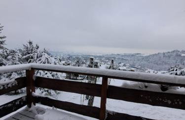 Świerkowy Zakątek u Bacy - Foto 45