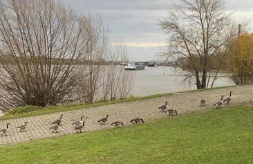 Nido Vela Appartement - Foto 45