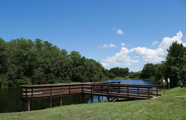 Dreamland Disney - Foto 30