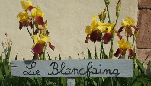 Gîte élégant en pleine nature avec terrasse, départ randonnées, parking privé et équipements inclus - FR-1-589-384 - Foto 3