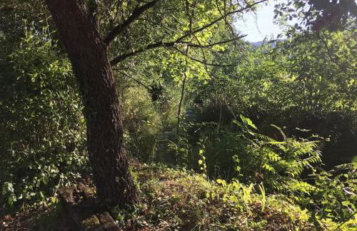 Chalet La Sequoia Orte - Foto 26