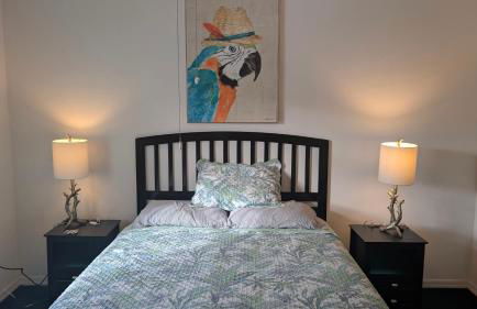 Orlando Mouse Manor - Foto 28