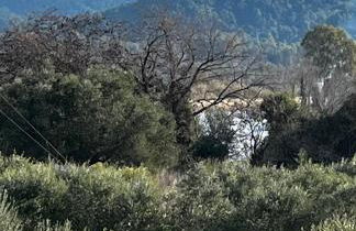 Olympia House Dionisos and Dimitra II - Foto 29